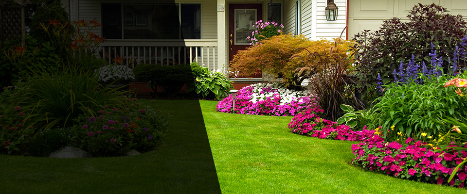 Tarboro Landscapers