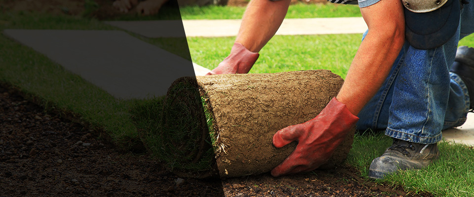 Tarboro Landscapers